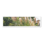Pampas grass bumper stickers