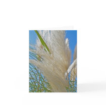 Pampas Grass Note Card