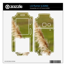 Pampas Grass Skin For LG Rumor