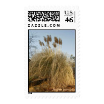 "Pampas" Postage Stamps