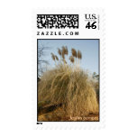 "Pampas" postage