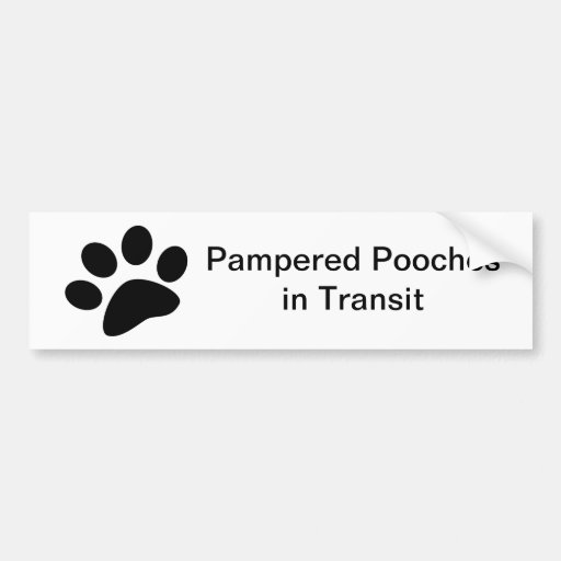 Pampered Pooches in Transit Bumper Sticker