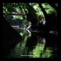 Pamunkey River Cavern posters