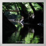 Pamunkey River Cavern Poster