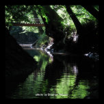 Pamunkey River Cavern posters