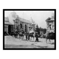 Pan Am Expo Camel Parade 1901 posters by lc_vintagephotos Pan Am Expo Camel Parade 1901 posters