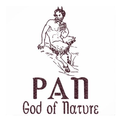 Pan Print by nakedzealot