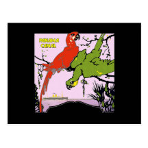 Panama Canal Parrots Postcard