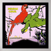 Panama Canal Parrots Posters