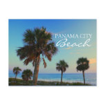 panama, city, beach, florida, palm, trees, sunset