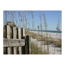 Panama City Beach posters by PLindberg Panama City Beach posters
