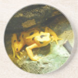 Panamanian Gold Frog Coaster