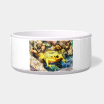 Panamanian Golden Frog Pet Food Bowl