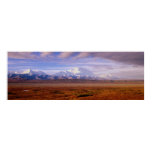Panarama 19 posters