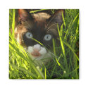Pancake Magnet by Ladybuglee Pancake Magnet