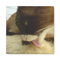 Pancake Magnet by Ladybuglee Pancake Magnet