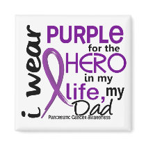 Pancreatic Cancer For My Hero My Dad 2 magnets by awarenessgifts Pancreatic Cancer For My Hero My Dad 2 magnets