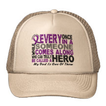 Pancreatic Cancer HERO COMES ALONG 1 Dad Hats