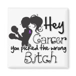 Pancreatic Cancer Hey You Picked The Wrong Bitch magnets