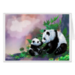 Panda01 Felicitacion