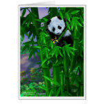 Panda05 Felicitaciones