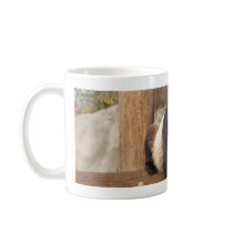 panda100 mugs