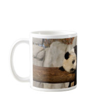 panda101 mugs