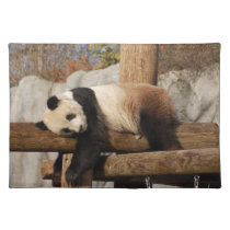 panda101 placemats