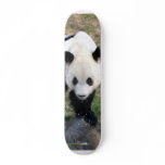 panda102 skateboards