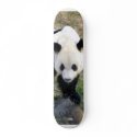 panda102 skateboards