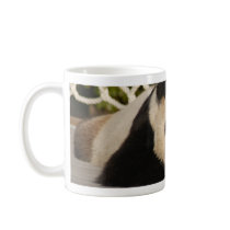 panda103 mugs