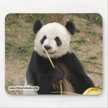 panda106 copy mousepads