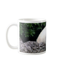 panda108 mugs