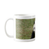 panda109 mugs
