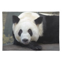 panda111 placemats