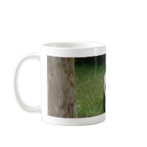 panda114 mugs