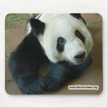 panda118 copy mouse pads