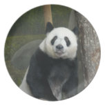 panda120 party plate