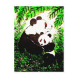 Panda 06 * Panda-Postkarten* panda KIND Postcards