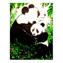 Panda 07 * Panda-Postkarten * Panda-Art-Postcards