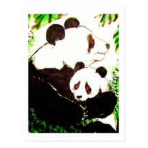 Panda 08  * Baby-Panda * Panda-Postkarten* Panda-A