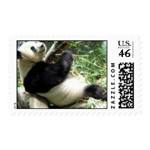 Panda and Bamboo Postage Stamp