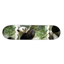 Panda and Bamboo Skateboard