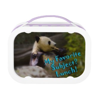 Panda Bear Lunchbox