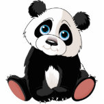 panda, bear, panda bear, wild animal, animal
