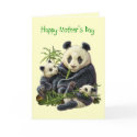 Panda Bear and Cub Mother's Day Card (Blank)