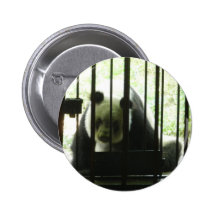 Panda Bear Behind Bars Buttons