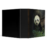Panda Bear Binder