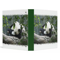Panda Bear Binder