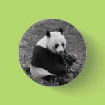 Panda Bear (black & white) Pin